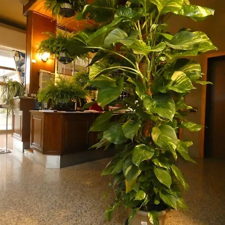 яhotel